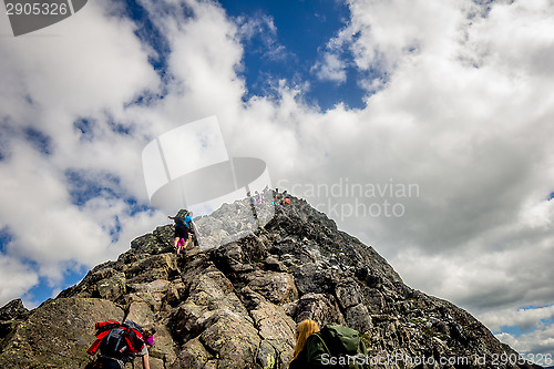 Image of Long way up