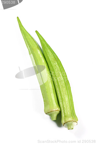 Image of fresh couple okras