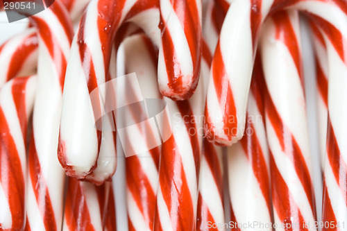 Image of Christmas candy cane