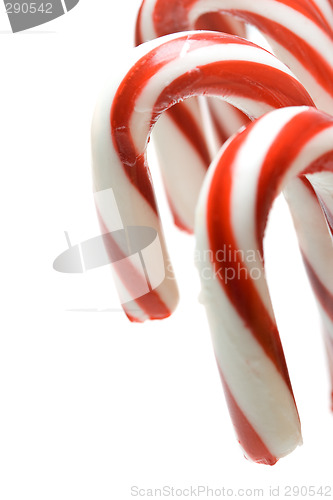 Image of Christmas candy cane