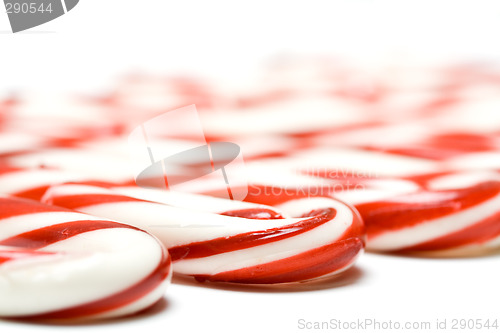 Image of Christmas candy cane