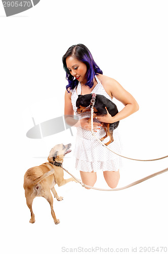 Image of Woman playing with dog's.