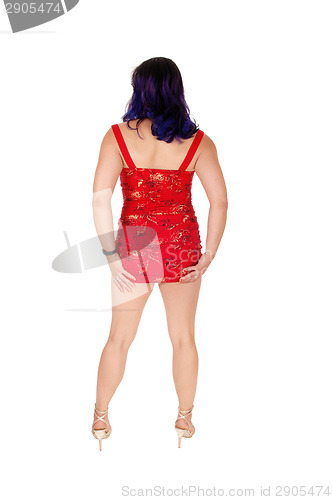 Image of Woman from the back.