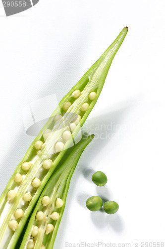 Image of fresh vegetable