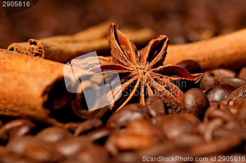 Image of Coffee beans