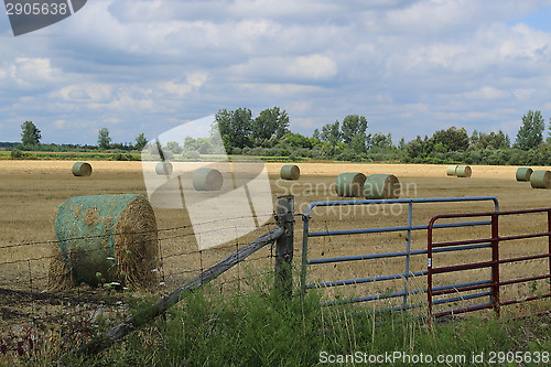 Image of A freshly rolled and wrapped hay bales