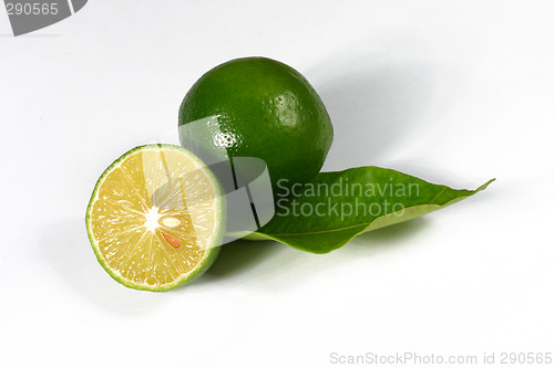 Image of fresh lemon