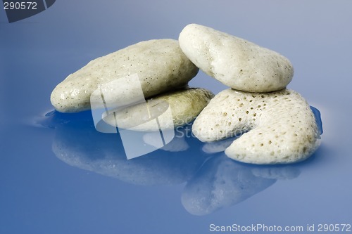 Image of Dead corals

