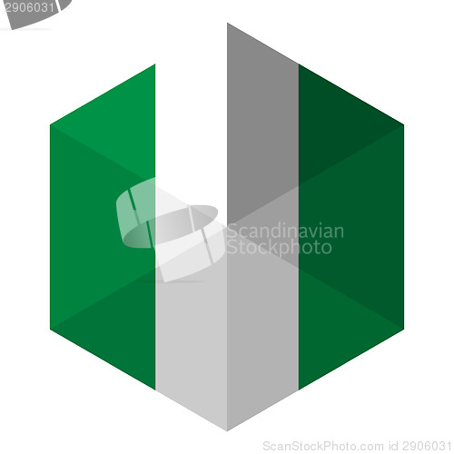 Image of Nigeria Flag Hexagon Flat Icon Button