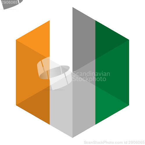 Image of Ireland Flag Hexagon Flat Icon Button