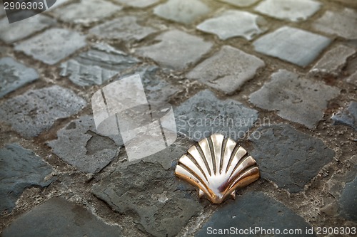 Image of Santiago Pilgrims shell in Brussels