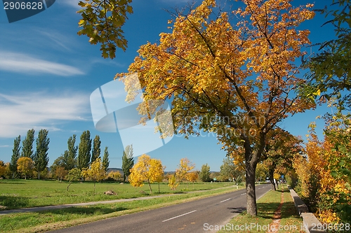 Image of Autumn road