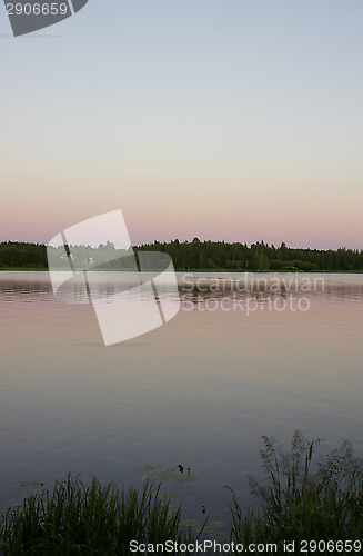 Image of Summer night