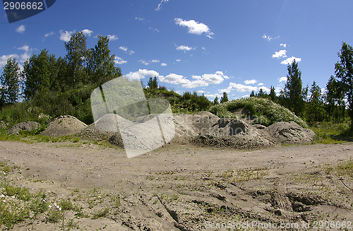 Image of Wasteland