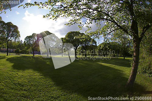 Image of Park