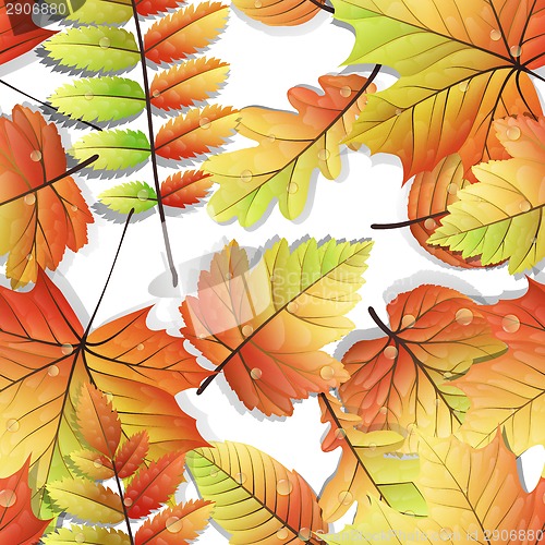 Image of Colorful autumn seamless leaves isolated. EPS 10