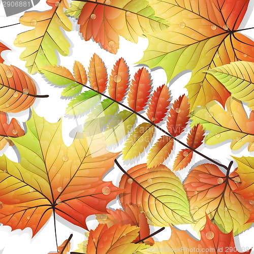 Image of Colorful autumn seamless leaves isolated. EPS 10