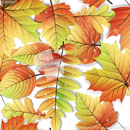 Image of Colorful autumn seamless leaves isolated. EPS 10