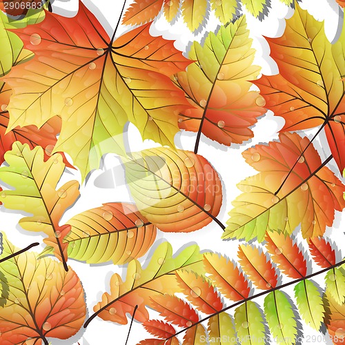 Image of Colorful autumn seamless leaves isolated. EPS 10