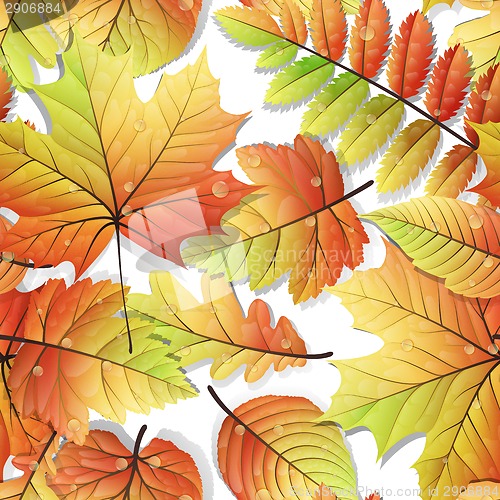 Image of Colorful autumn seamless leaves isolated. EPS 10