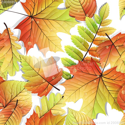 Image of Colorful autumn seamless leaves isolated. EPS 10