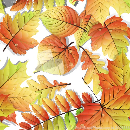 Image of Colorful autumn seamless leaves isolated. EPS 10