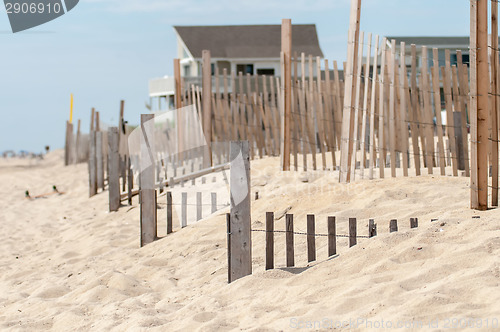 Image of dunes fencing along outer banks of north carolina in cape hatter