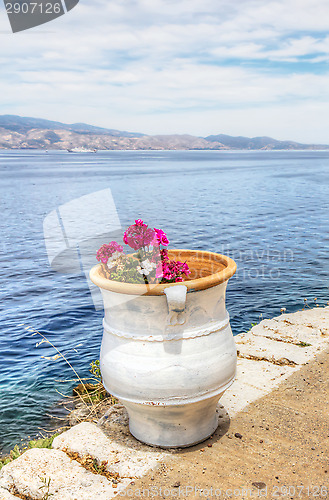 Image of Flower pot over Aegean Sea in Hydra, Greece