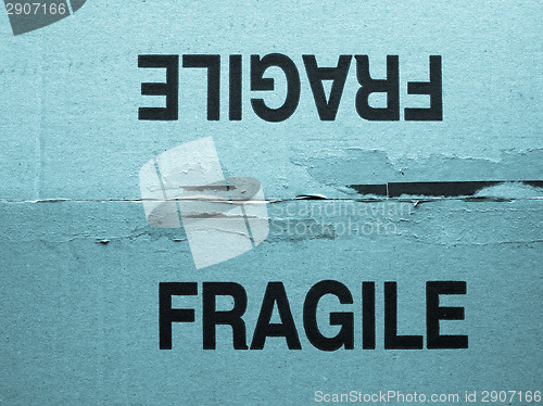 Image of Fragile