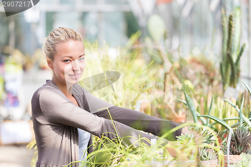 Image of Florists woman working in greenhouse. 