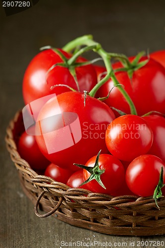 Image of Fresh red tomatoes