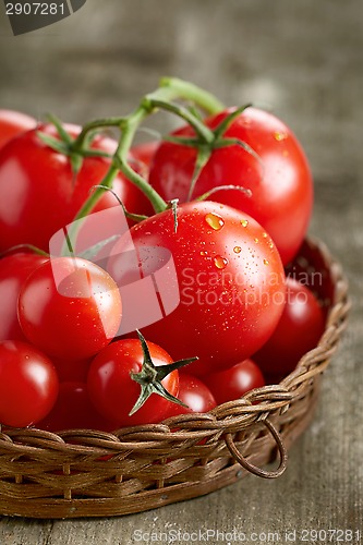 Image of Fresh red tomatoes