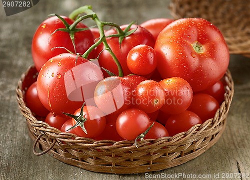 Image of Fresh red tomatoes