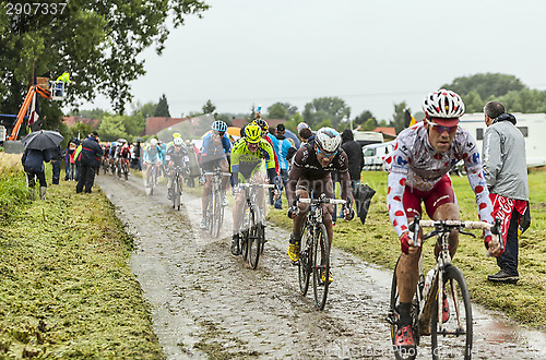 Image of The Peloton on a Cobbled Road- Tour de France 2014