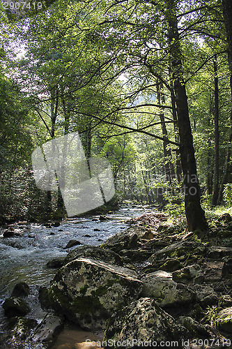 Image of Mountain river