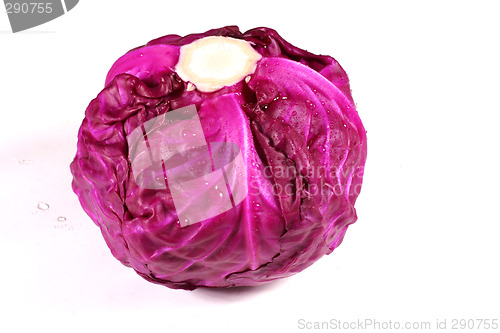 Image of fresh purple cabbage