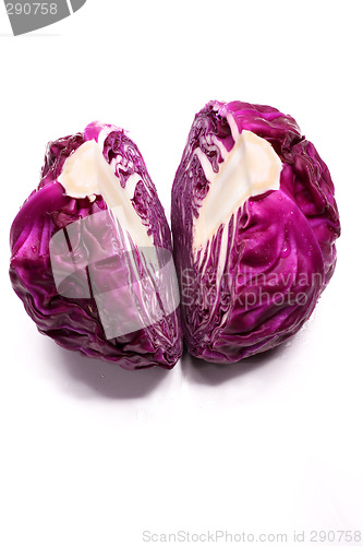 Image of fresh purple cabbage