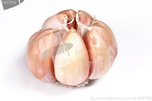 Image of fresh garlic