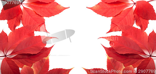 Image of Autumn leaves background with copy space