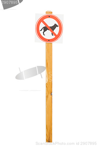 Image of Sign walking dogs is prohibited.
