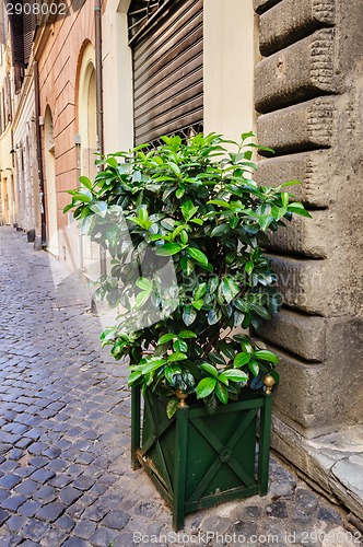 Image of Old streets of Rome, Italy