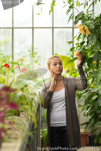 Image of Florists woman working in greenhouse. 