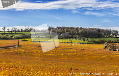 Image of Landscape in the Perche Region of France