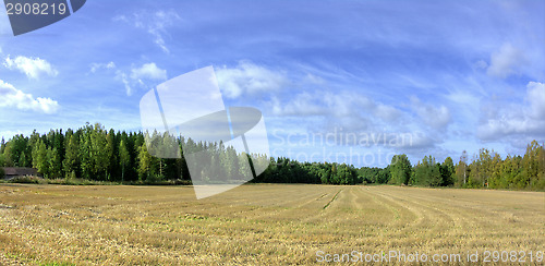 Image of Wheatfield panorama