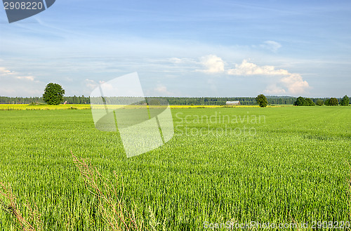 Image of Countryside