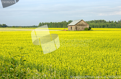 Image of Countryside