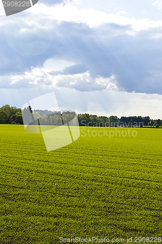 Image of Coutryside