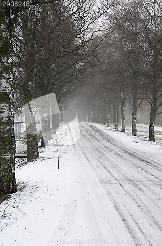 Image of Winter road