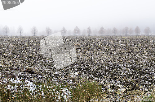 Image of Foggy morning