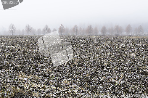 Image of Icy field